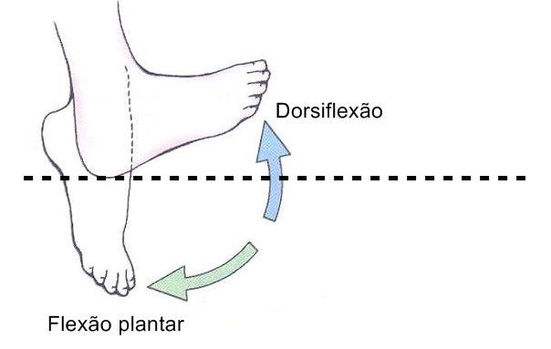 Os Melhores Exercícios Para Posterior De Coxa! - barbell Brasil