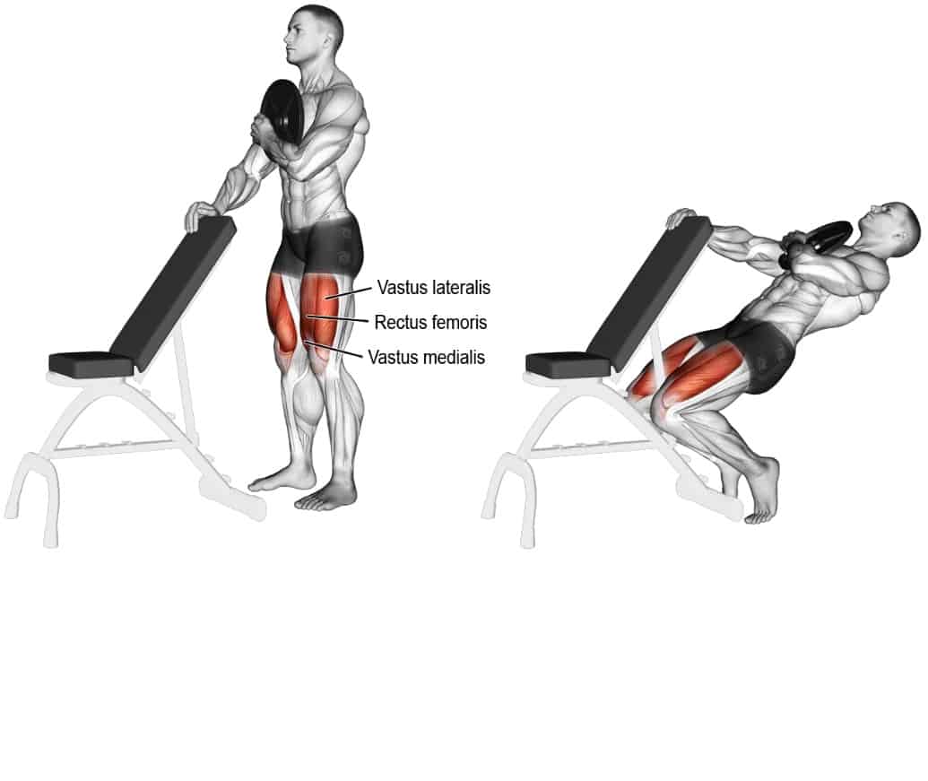 O treino ideal para você fortalecer e desenvolver o posterior de coxa! -  Gorilla Muscle
